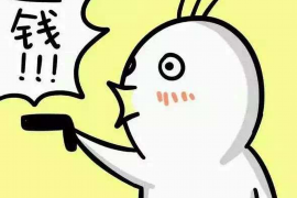 沅江债务清欠服务